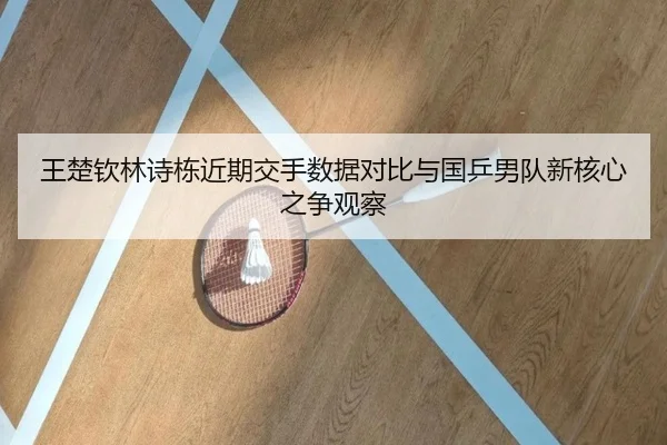 王楚钦林诗栋近期交手数据对比与国乒男队新核心之争观察